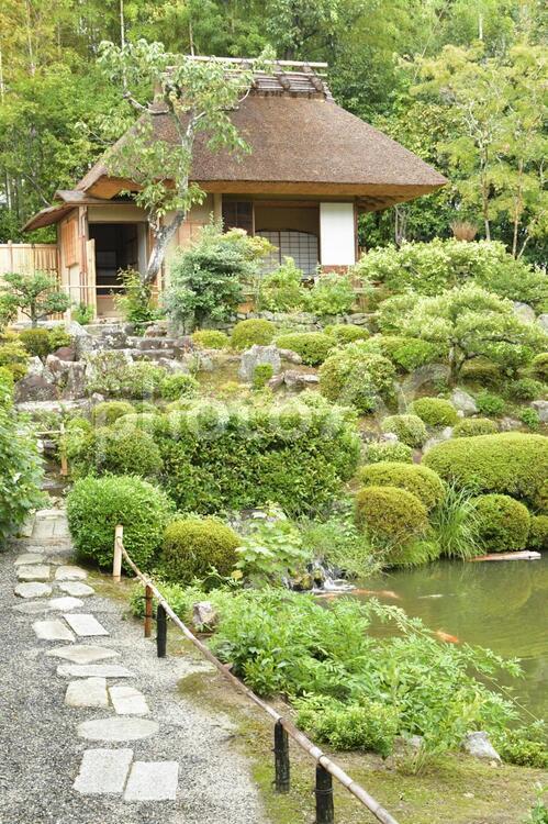 等持院庭園内母屋２ 庭,家,母屋の写真素材