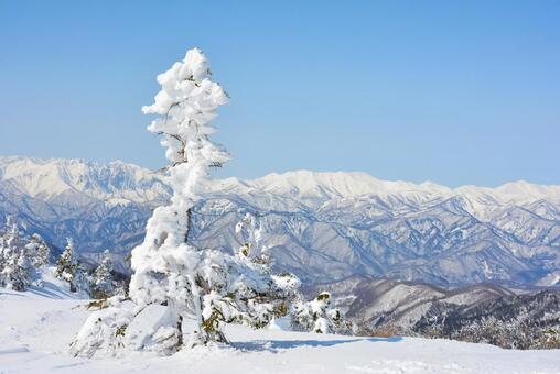 雪の武尊山山頂の樹氷と越後の山々 雪山,山並み,山々の写真素材