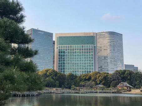 2月の浜離宮恩賜庭園 2月の浜離宮恩賜庭園 浜離宮恩賜庭園,浜離宮,潮入の池の写真素材