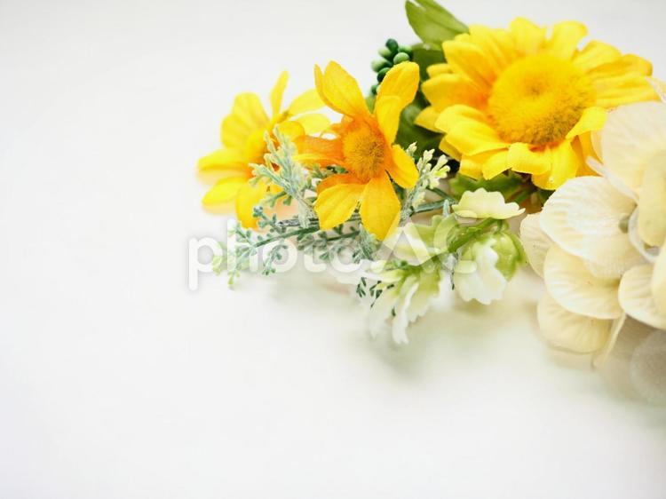 夏の背景　素材２ ひまわり,ヒマワリ,向日葵の写真素材