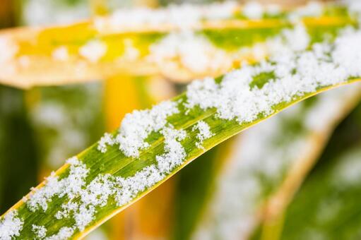 秋保の冬景色(131) 冬,雪,寒さの写真素材