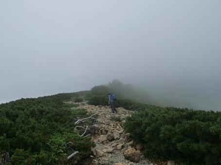 霧がかる仙丈ヶ岳の登山道 霧がかる仙丈ヶ岳の登山道 仙丈ケ岳,道標,南アルプスの写真素材