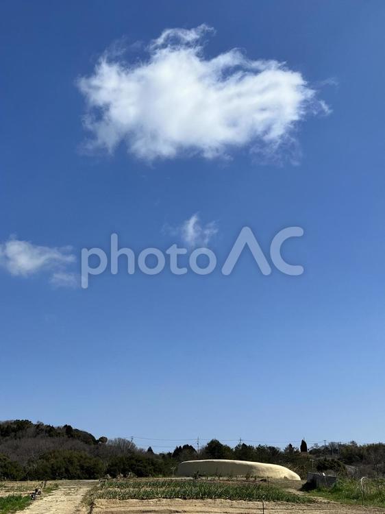 野菜畑と青空に浮かぶ白い雲 青空,快晴,晴れの写真素材