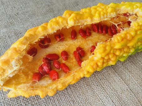 Photo, yellow, bitter gourd, contents, 