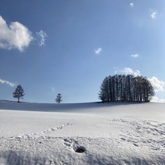 厳 厳の写真
