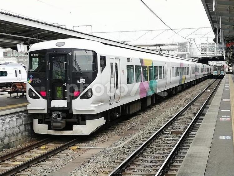 Ｅ２５７系Ｍ‐１１６編成 鉄道,jr,jr東日本の写真素材