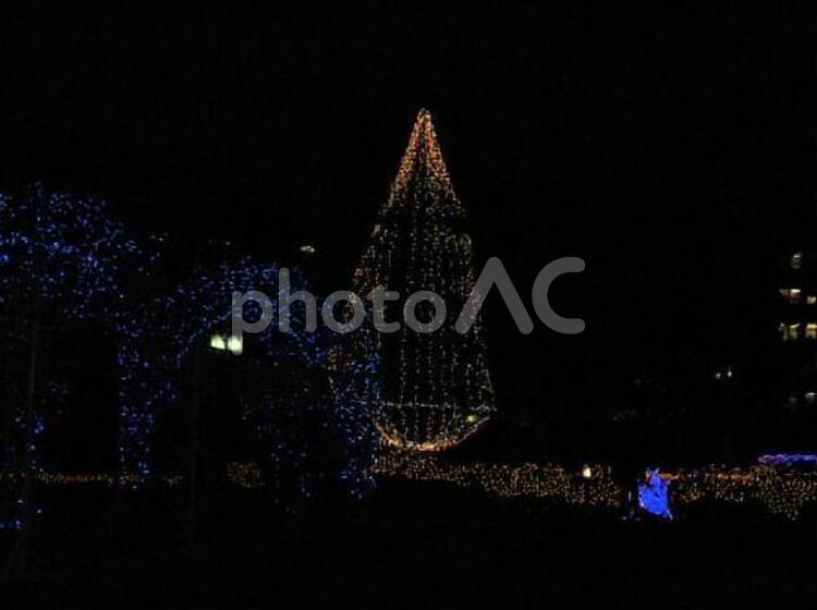 舞鶴城　師走のイルミネーション 12月,イルミネーション,ネオンの写真素材