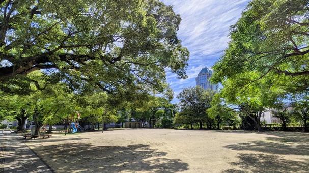 日吉公園-01 日吉公園-01 今治市,日吉公園,児童公園の写真素材