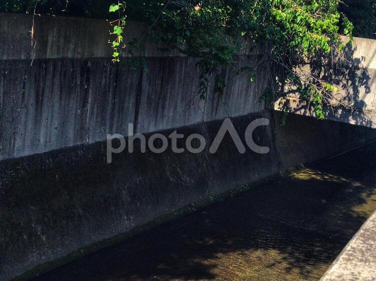 川の水をゆっくりまったり 川,水域,橋の写真素材