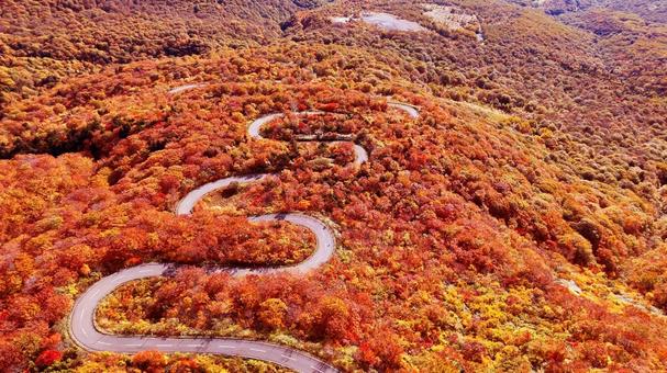 栗駒山と神の絨毯への道を空撮 栗駒山と神の絨毯への道を空撮 山,栗駒山,秋の写真素材