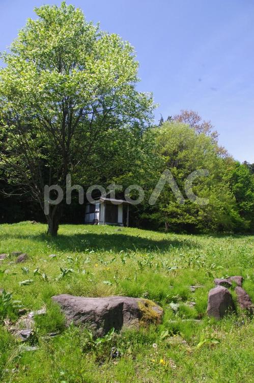 緑の中の小さなお堂 小さなお堂,風景,景色の写真素材