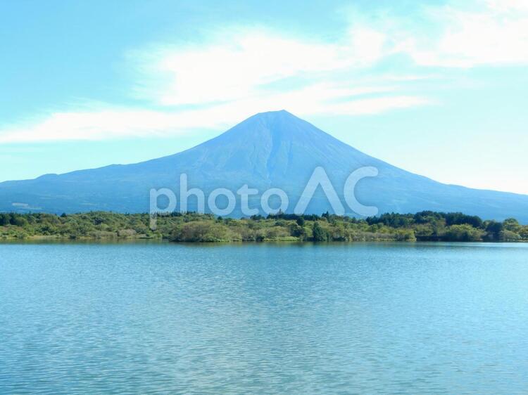 富士山と田貫湖の風景 風景,自然,湖の写真素材