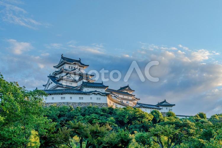 夕日に映える姫路城北側 姫路城,姫路城北側,城の写真素材