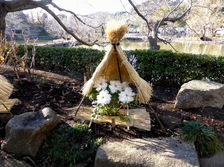 鶴岡八幡宮・冬のぼたん園2015その3 鶴岡八幡宮・冬のぼたん園2015その3の写真