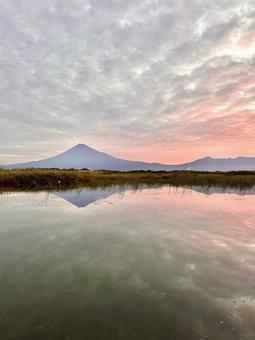 富士川から見る富士山 富士山,富士川,逆さ富士の写真素材