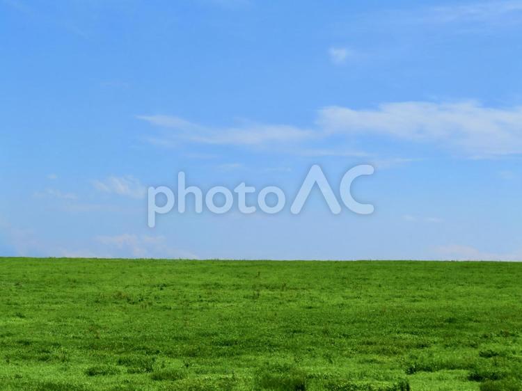 田舎の風景 自然,緑,グリーンの写真素材