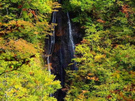 紅葉の布引の滝（守門岳） 布引の滝,滝,川の写真素材