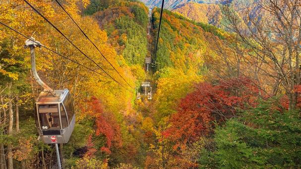 空中散歩 紅葉,秋,ロープウェイの写真素材