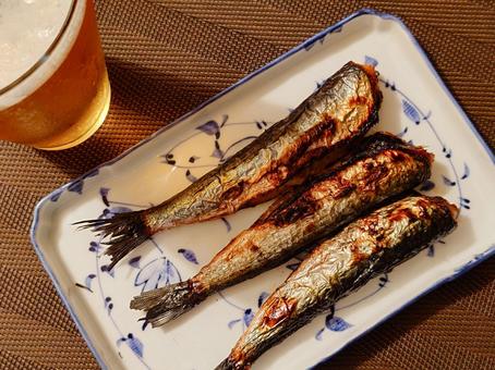 ビールと焼きイワシ ビールと焼きイワシ ビール,晩酌,鰯の写真素材