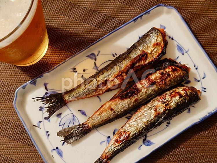 ビールと焼きイワシ ビール,晩酌,鰯の写真素材