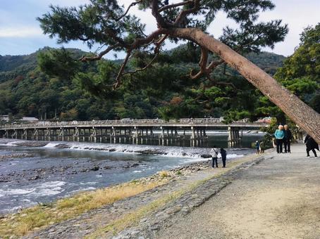 渡月橋 渡月橋の写真