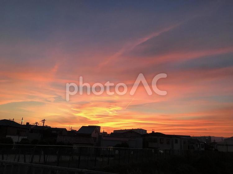 夕暮れ 景色,雑草,背景の写真素材