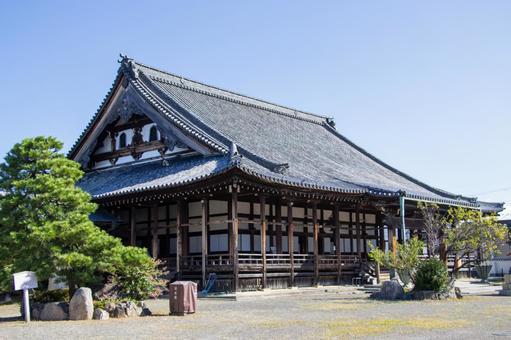 長浜御坊 本堂 長浜御坊 本堂 長浜御坊,本堂,長浜別院大通寺の写真素材
