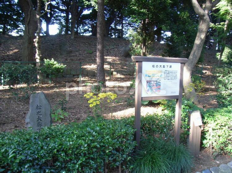 江戸城松の大廊下跡 江戸城松の大廊下跡,江戸城松の大廊下,江戸城の写真素材