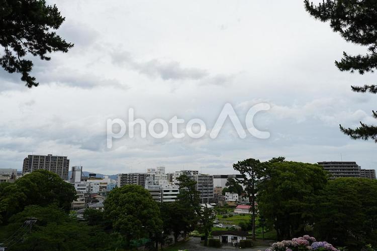 小田原城址公園から見た小田原市内の風景 小田原城,小田原,小田原市の写真素材