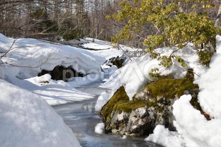 冬の景色（雪と池） 冬,景色,雪の写真素材