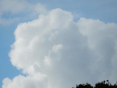 【空の写真】夏空 【空の写真】夏空の写真