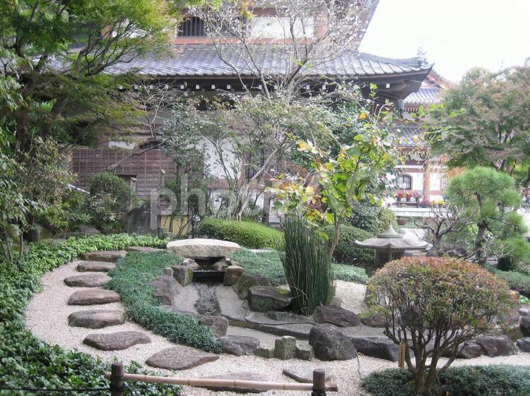 長谷寺　鎌倉 長谷寺,鎌倉,寺の写真素材