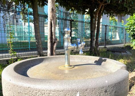 ある公園の立形水飲水栓_上蛇口_711L 水道,水飲み場,立形水飲水栓の写真素材