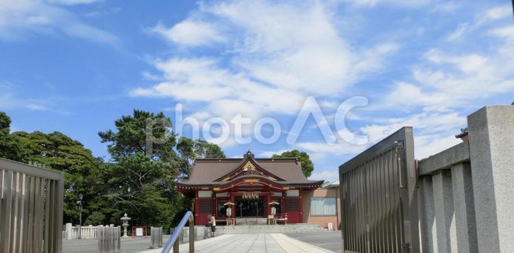 稲毛浅間神社の景色-8 稲毛浅間神社,千葉県千葉市稲毛区稲毛,参道の写真素材