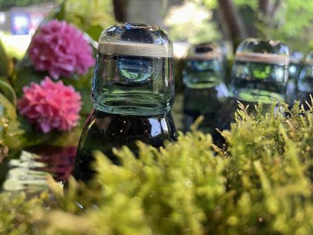 ラムネと苔と花 ラムネと苔と花の写真