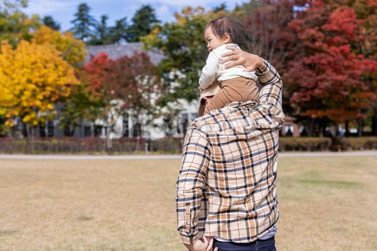秋の公園で遊ぶパパと赤ちゃん 赤ちゃん,イクメン,肩車の写真素材