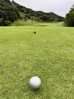 ゴルフ場の芝とボールと赤マーカー シルバー,木,芝の写真素材