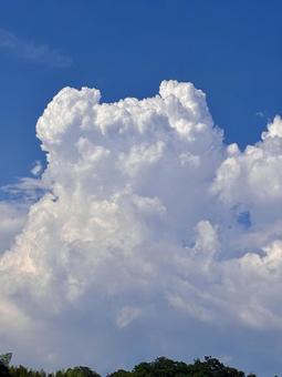 【風景写真】夏空 【風景写真】夏空の写真