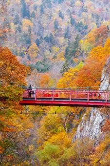 晩秋の定山渓温泉 定山渓温泉,秋,二見吊り橋の写真素材