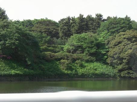 行きずりの千鳥ヶ淵 行きずりの千鳥ヶ淵 ドライブ,千鳥ヶ淵,水面の写真素材