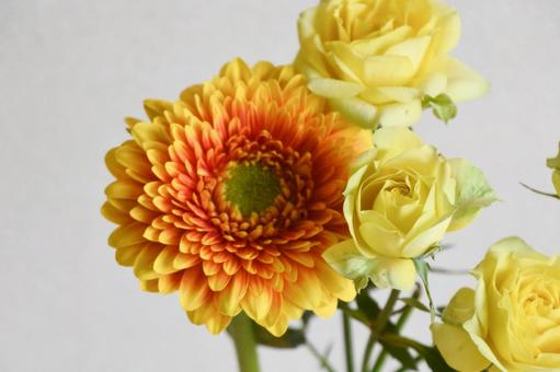 薔薇とガーベラ 薔薇とガーベラ オレンジ色,ガーベラ,黄色の写真素材