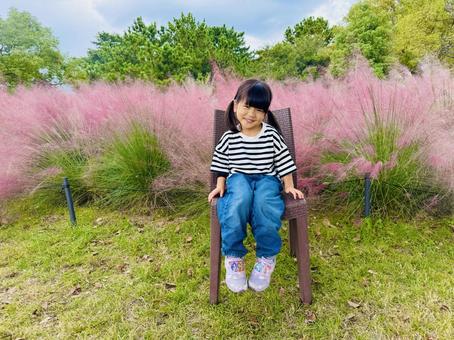 秋の花と女の子 秋,女の子,子供の写真素材