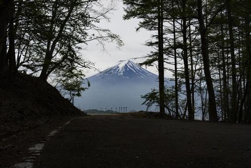 山梨県河口湖町から望む初夏の富士山 富士山,河口湖町,山梨県の写真素材