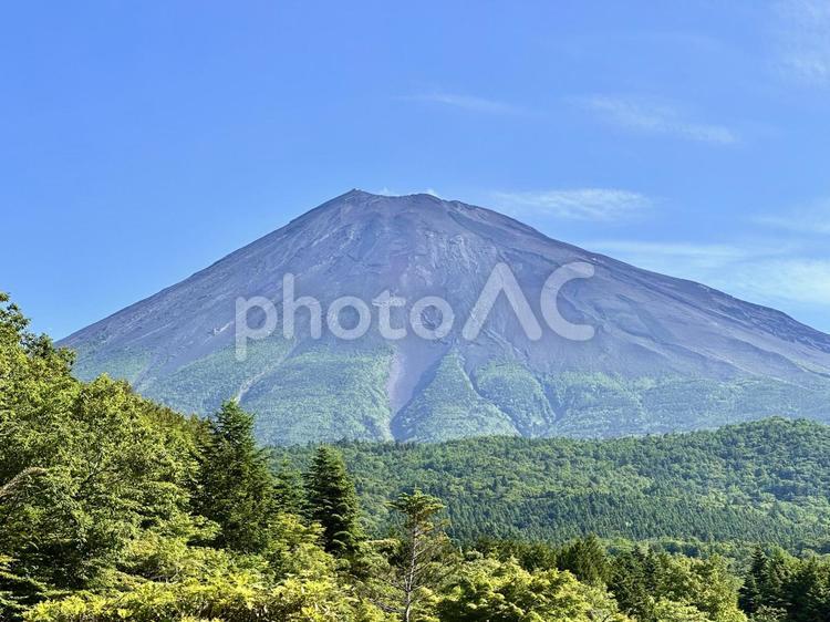 富士宮市から見る富士山 富士山,夏,新緑の写真素材