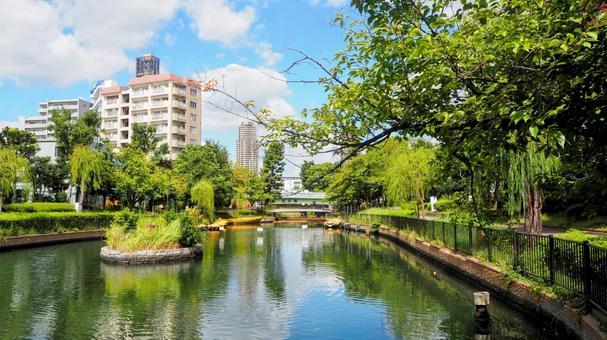初秋の横十間川&岩井橋(東京都・江東区) 初秋の横十間川&岩井橋(東京都・江東区) 初秋,岩井橋,東京都の写真素材