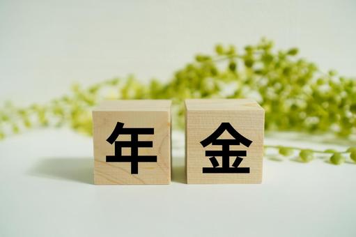 木製ブロックに『年金』の文字 木製ブロックに『年金』の文字 年金,老後資金,年金暮らしの写真素材