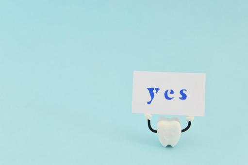 YESと書かれたカードを掲げる歯 YESと書かれたカードを掲げる歯 歯,yes,臼歯の写真素材
