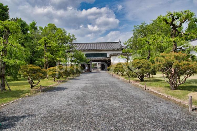 二条城の北大手門　　京都　日本 北大手門,大手門,門の写真素材