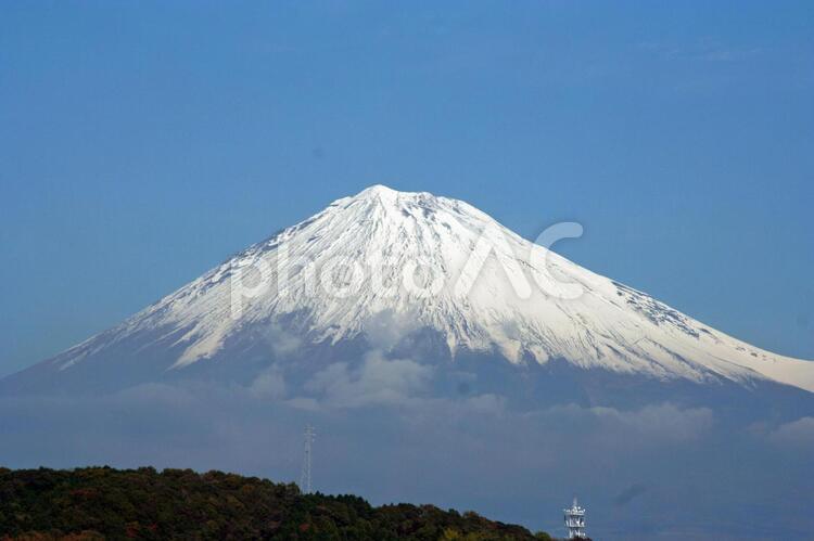 富士川方面から見た富士の勇姿　02 屋外,山,木の写真素材