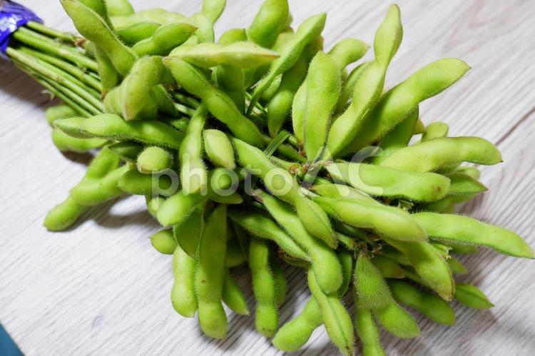 枝付き枝豆　1 食べ物,緑色,野菜の写真素材